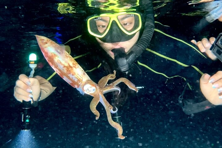 Nachtschnorcheln für Tintenfische: Foto des Anbieters