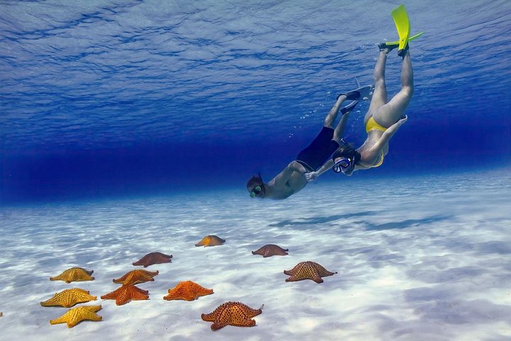 Excursión privada a El Cielo y club de playa: foto del operador