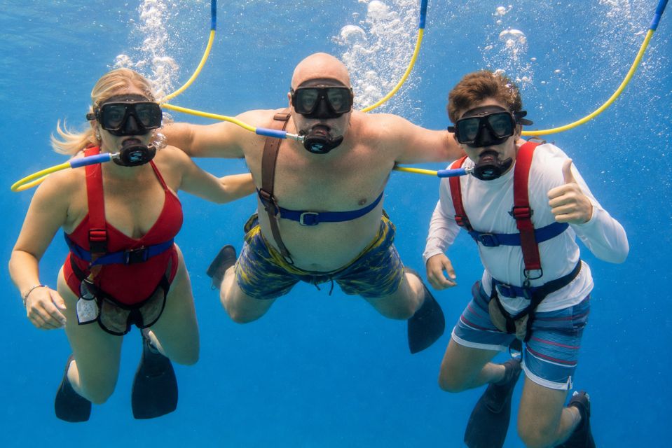 our photo from tour SNUBA Cozumel: Underwater Adventure